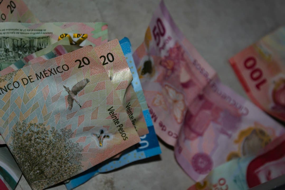 La inflación en alimentos frena la recuperación salarial en México pese a ocho años de aumentos al mínimo (imagen adicional)